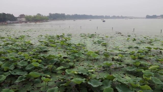 Пекин: Летний дворец / Beijing: Summer Palace смотреть онлайн