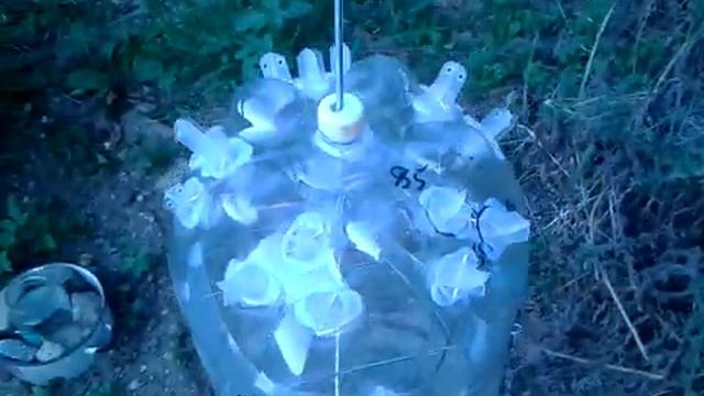 Бутылочный роевой ящик. смотреть онлайн