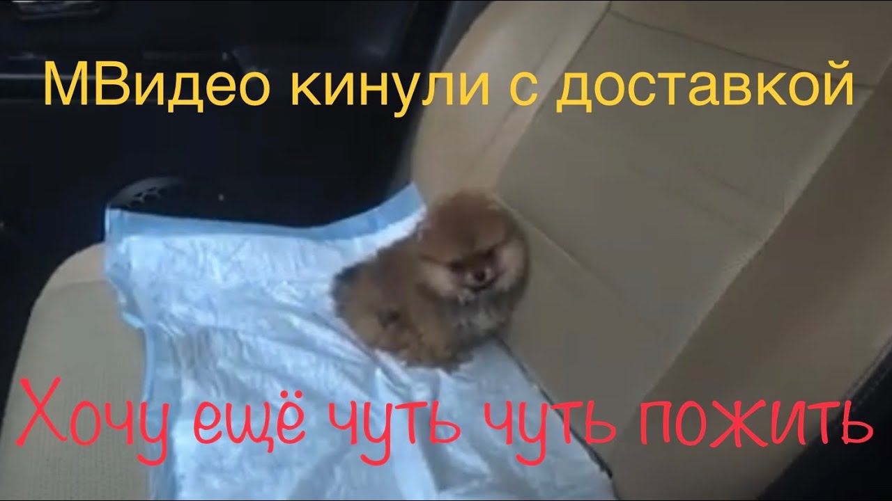 Похоронили Бабушку МВидео кинули меня с доставкой маминого подарка смотреть онлайн