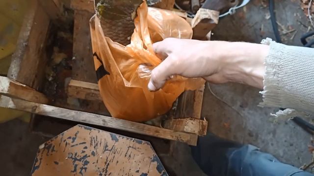 Рыба карп последние запасы, смотреть онлайн