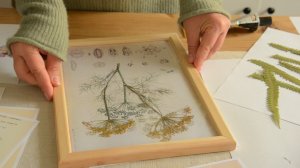 Превращение сухих цветов в искусство.  Приготовление лечебного меда из одуванчиков.