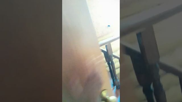 Обзор на Базу Отдыха В Астрахани.Село Растопуловка смотреть онлайн