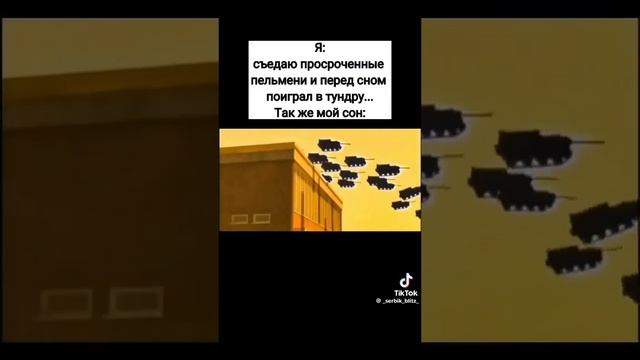Я съедаю просроченные пельмени и перед сном поиграл в тундру Так же мой сон: