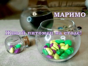 ? ?  МАРИМО - Кладофора- водное растение Питомец) ?? Подарок ДРУГУ,  ПОДРУГИ или СЕБЕ ЛЮБИМОЙ!
