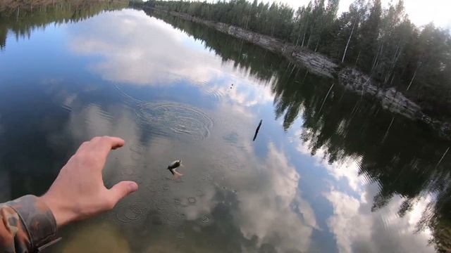 Как ловить крупного карася в сентябре? Рыбалка на поплавок. смотреть онлайн