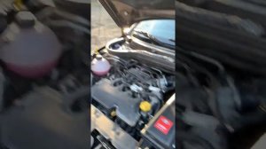 ГАЗОВЫЕ УПОРЫ НА LADA VESTA
