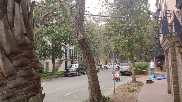 Little Leaf Fighting Me, Vet Visit, Exploring Savannah Georgia смотреть онлайн