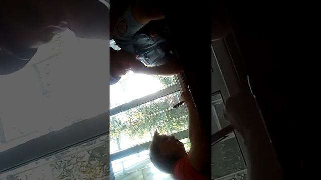 Куртамыш, цирк в полиции 31 мая 2019, часть2 смотреть онлайн