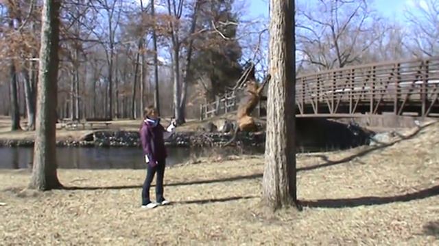 My catahoula leopard dog climbing a tree смотреть онлайн