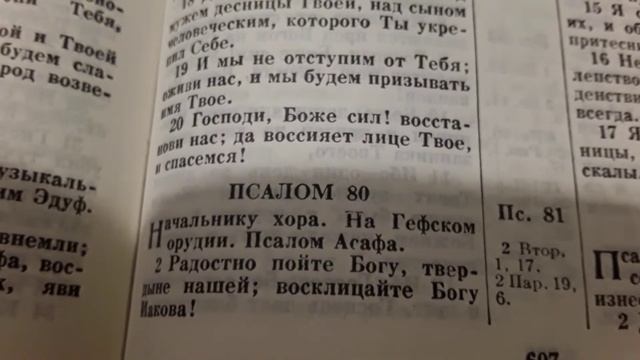 20 Песня Псалом 80:2 Радостно пойте Богу, Твердыне нашей, восклицайте Богу, Богу Иакова ... смотреть онлайн