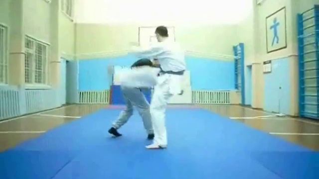 1 Федерация Айкидо и Айкидзюдзюцу по Красноярскому краю смотреть онлайн