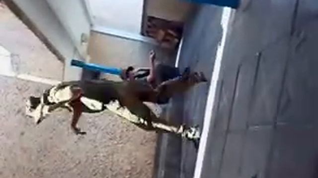 Армия смотреть онлайн