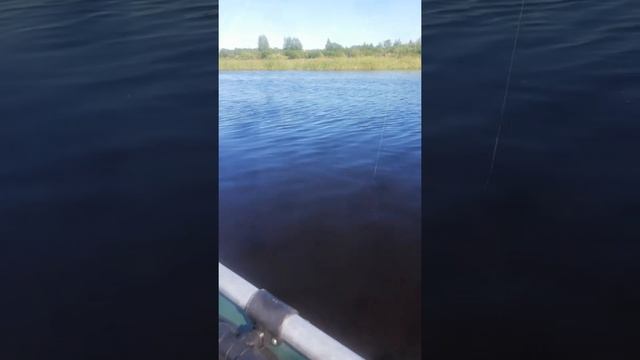 Маленькая щучка. смотреть онлайн