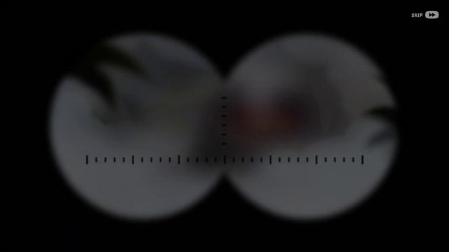 Lost Island Expedition Walkthrough - Homescapes - Chapter 3-4 смотреть онлайн