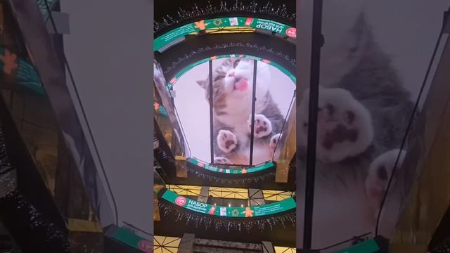 01-01-2024 смотреть онлайн