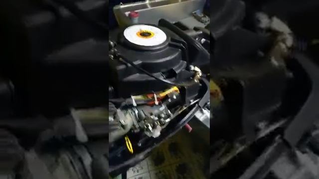 Допы Mercury F20M смотреть онлайн