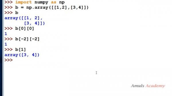 Indexing Operation in NumPy Arrays | Python Tutorials