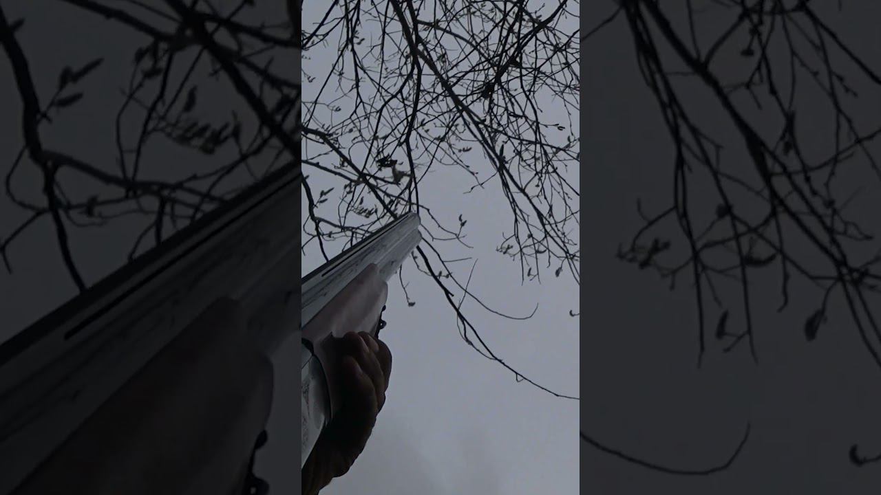 Шесть выстрелов = шесть гусей \ Идеальная охота goose hunting смотреть онлайн