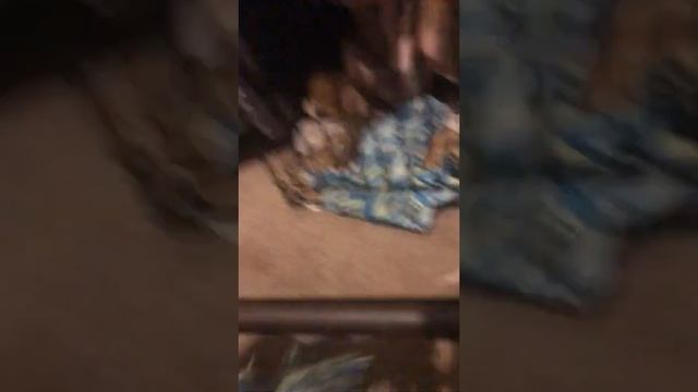 Bentley part 1@ смотреть онлайн