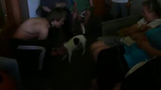 Съёмка видео у Корольковой Вики! Филин Александр смотреть онлайн