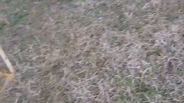 разметка фундамента смотреть онлайн