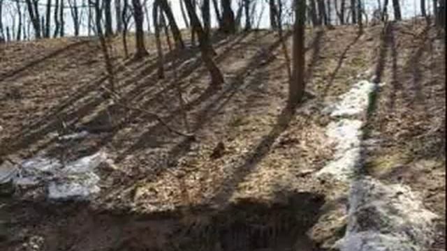 Апт альбские песчаники Коломенского смотреть онлайн