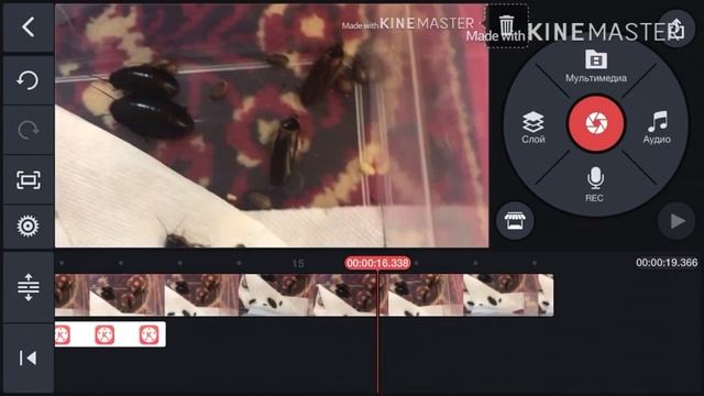 Самый лучший бесплатный видеоредактор для создания видео в full hd качестве смотреть онлайн