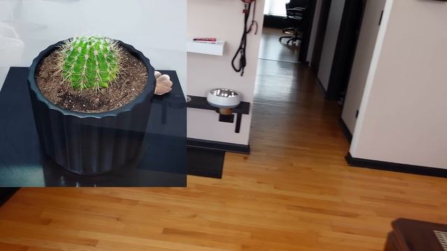 Чистим Окна | Выиграли Паллету на Аукционе !!! | Что Случилось с Ёжиком ?! | Много Комментов "ФИГНЯ смотреть онлайн