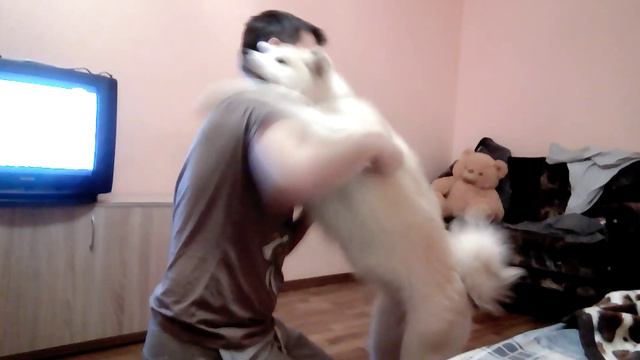Акита Сачи танцует смотреть онлайн
