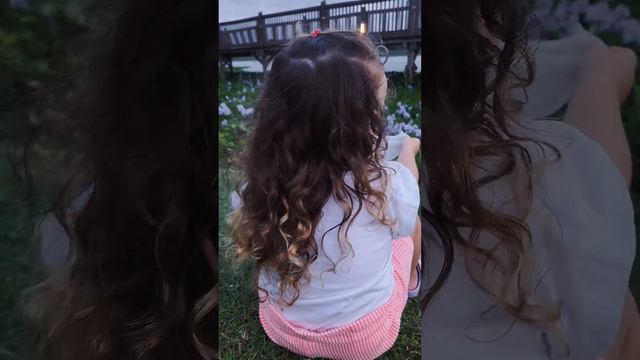 Квітуче озеро в Ізраїлі смотреть онлайн