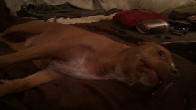 Tank wants to play смотреть онлайн