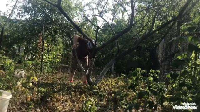 Ловлю кайф от своей дачи. Мотивация на работу, лучше любого фитнеса смотреть онлайн