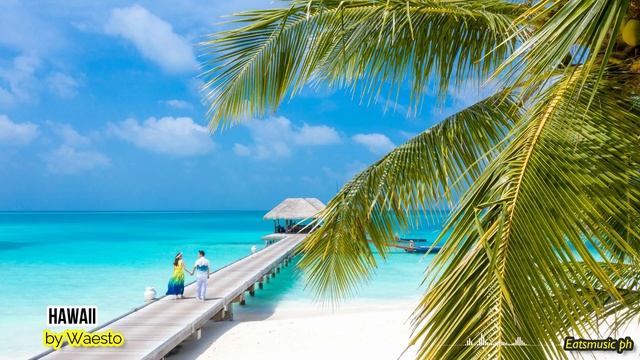 Hawaii By Waesto | Uplifting Chill Music | No Copyright Music | #freetousemusic #freemusic #hawaii