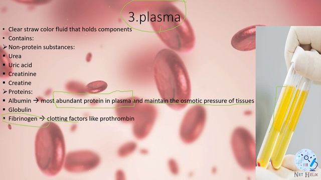42. Hematopoiesis process and blood components | الدم عملية صنيعه ومحتوياته شرح بالعربي смотреть онлайн