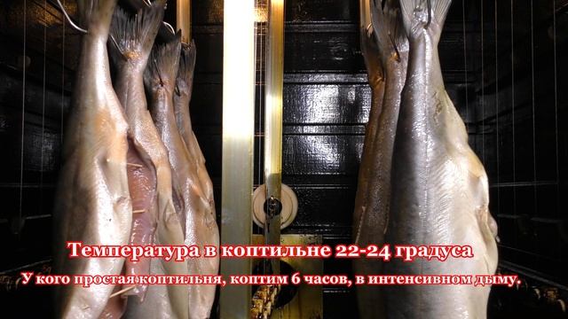 Горбуша холодного копчения мокрый посол. ENG SUB смотреть онлайн