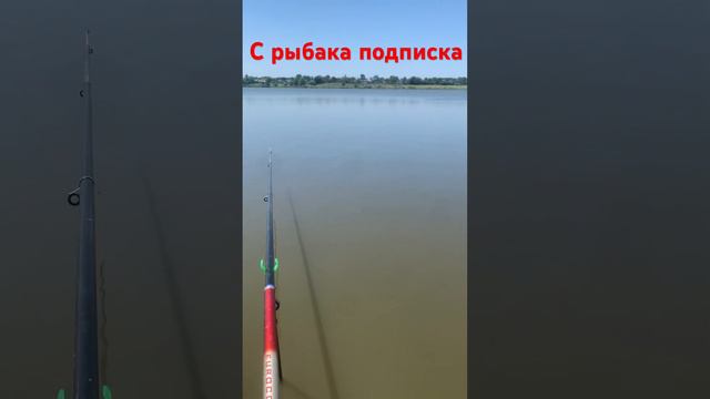 Если ты рыбак то подпишись если на сложно смотреть онлайн