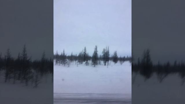 Поездка в Новый Уренгой со своим другом журналистом, редактором Асаном Наймановым. смотреть онлайн