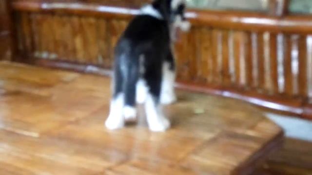 Samsung WB100 Video Test смотреть онлайн