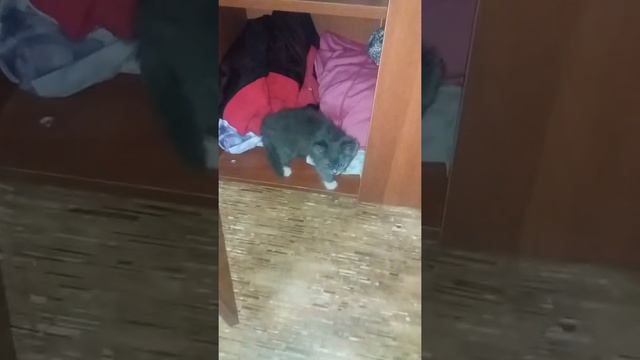 Ни минуты покоя смотреть онлайн