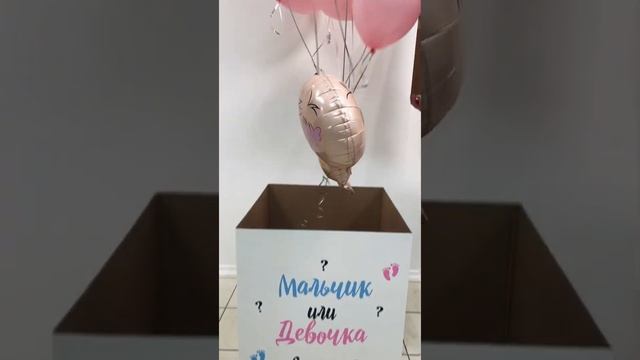 Коробка сюрприз Мальчик или Девочка, кто родится? Определение пола малыша, Москва смотреть онлайн