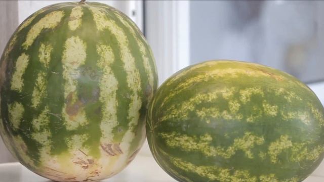 Сезонный бизнес на арбузах смотреть онлайн