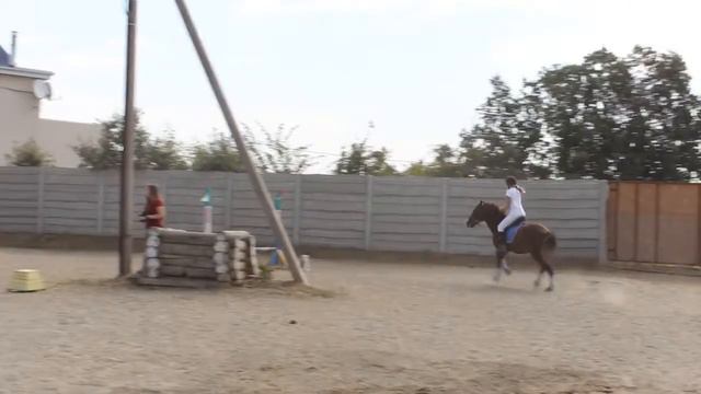 Соревнования в КСК "Гранд При".80см смотреть онлайн