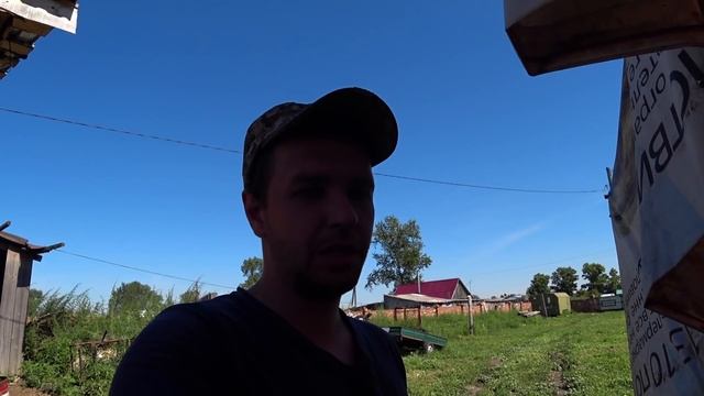 Вес в 6 месяцев / Сколько корма съели смотреть онлайн