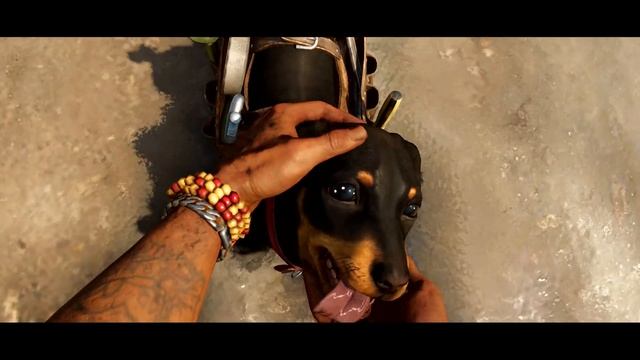 Can you pet the dog in Far Cry 6? смотреть онлайн