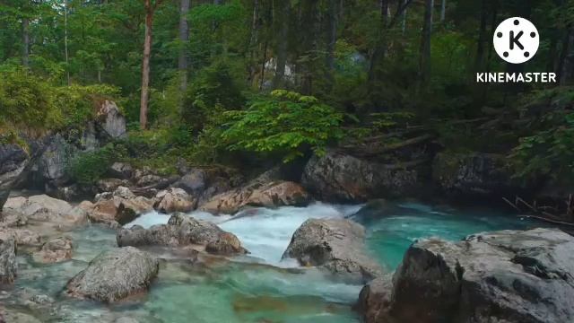 15 минут красивое видео для расслабления звуки воды , пение птиц , медитация смотреть онлайн