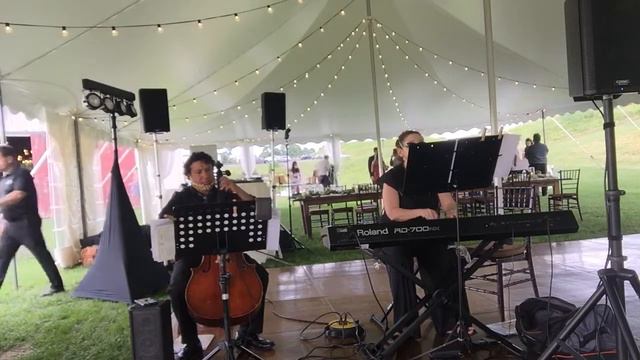 Piano & Cello Wedding Music смотреть онлайн