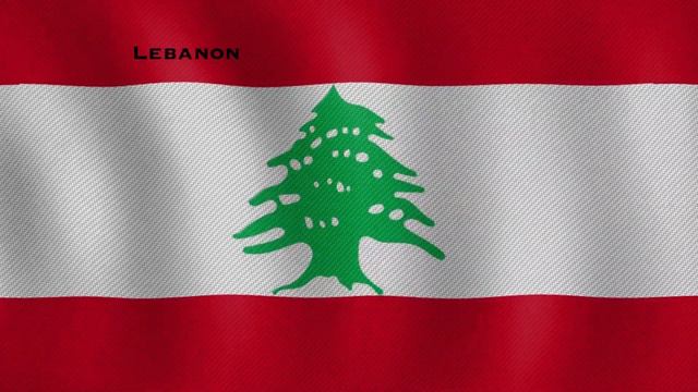 World Wide Countries And Capitals | World Country Flags In 5 Sec|