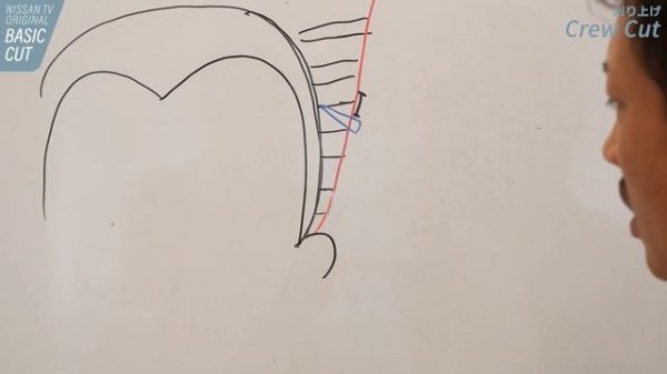 刈り上げベーシックカット【Basic Cut】【Haircut Tutorial】【crew cut】