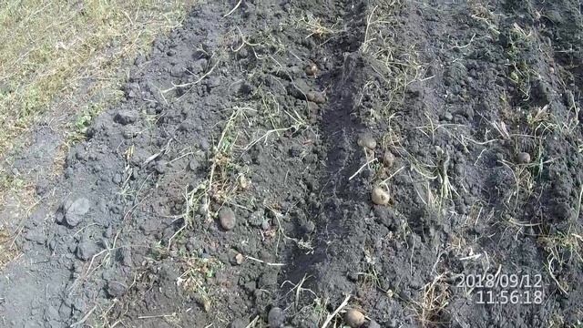 Копка картофеля мотоблоком Угра НМБ 1Н 2018 Часть 2 смотреть онлайн