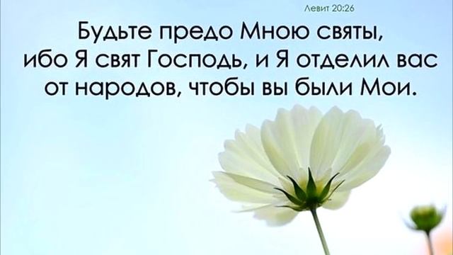 Я стою пред Тобой смотреть онлайн